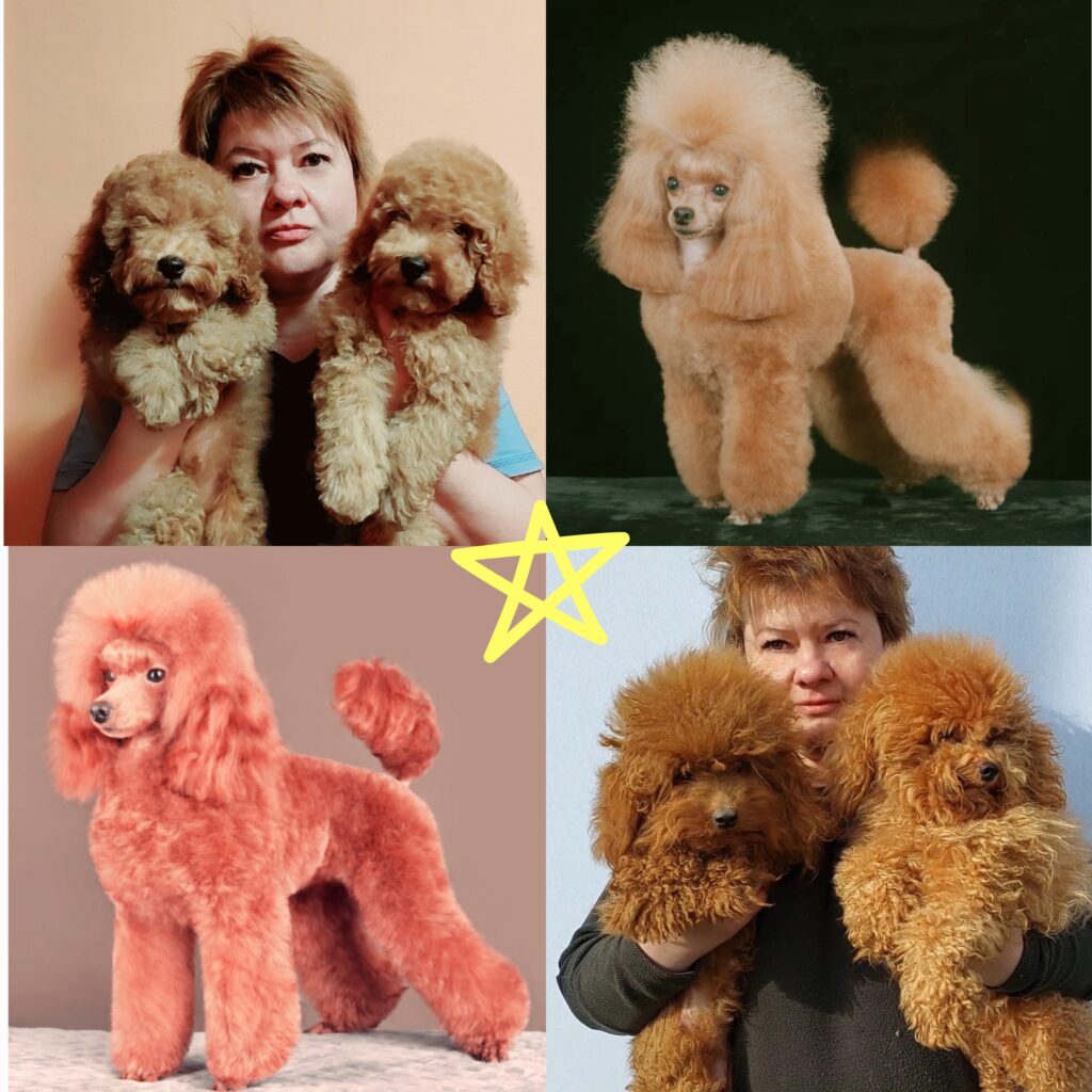 Это изображение имеет пустой атрибут alt; его имя файла - 20250429_203130-1024x1024.jpg